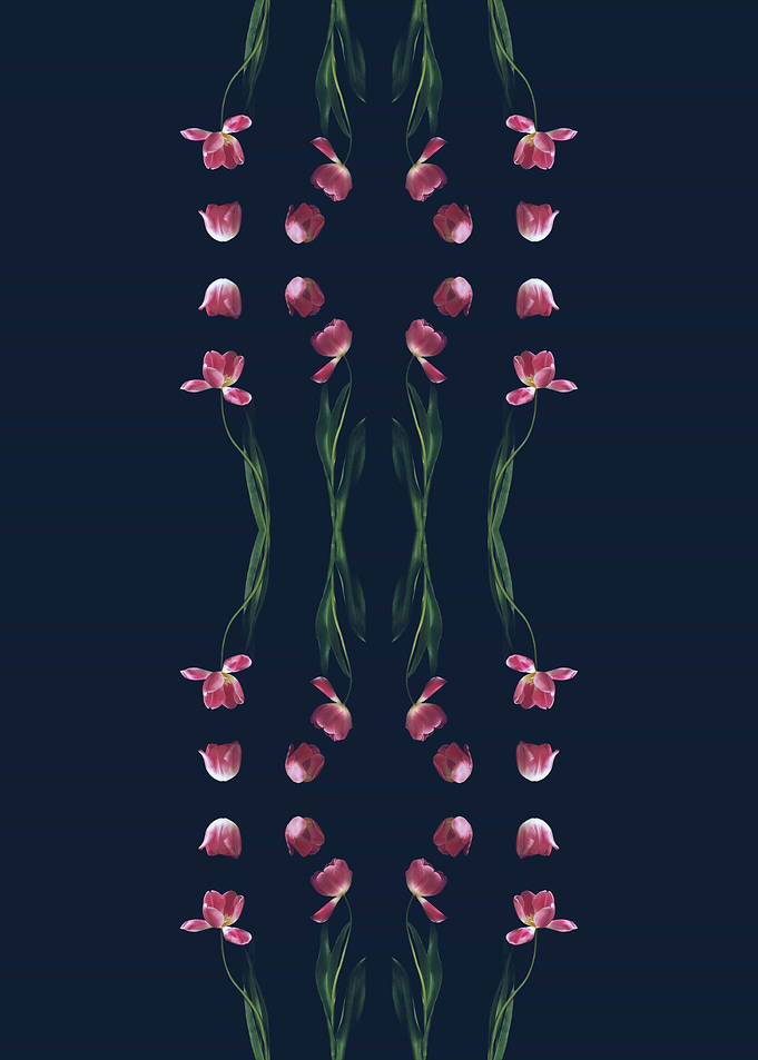 Small Tulips Composition