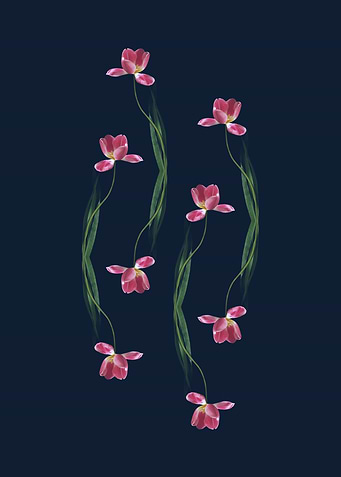 Four Dancing Tulips