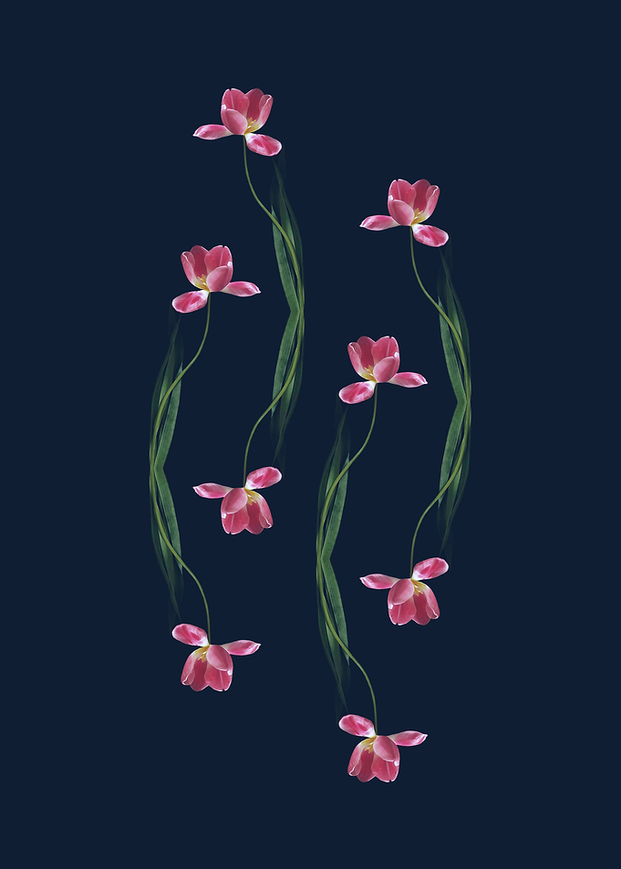 Four Dancing Tulips