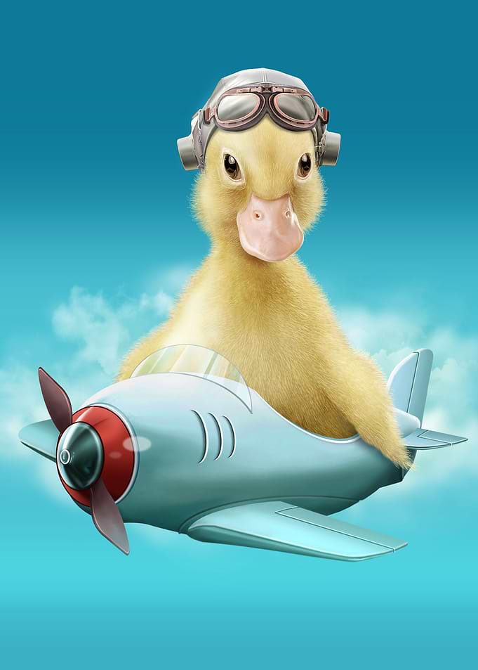 PILOT DUCK