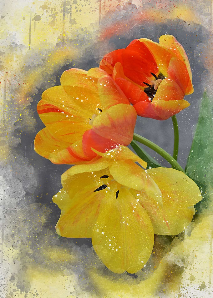 Painted tulips