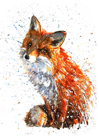 FOX