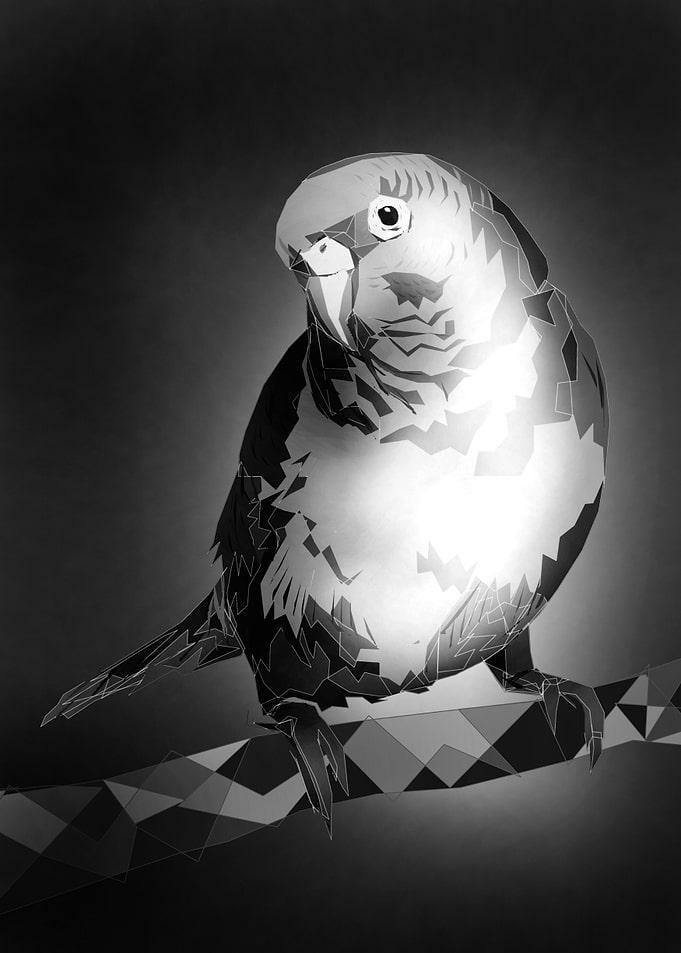 parrot bird