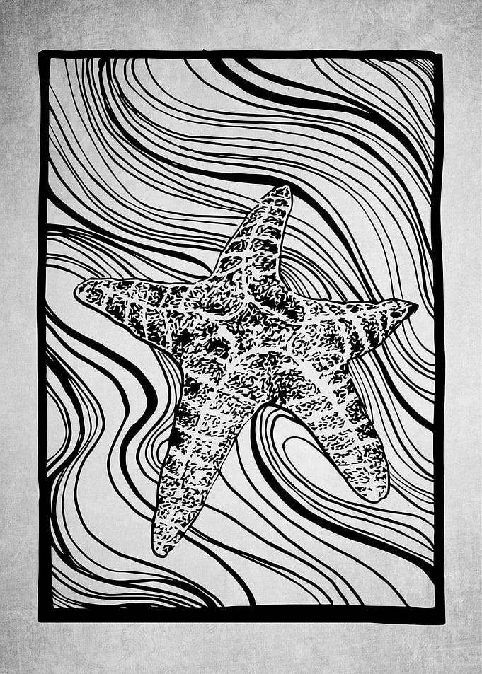 Flurry Starfish