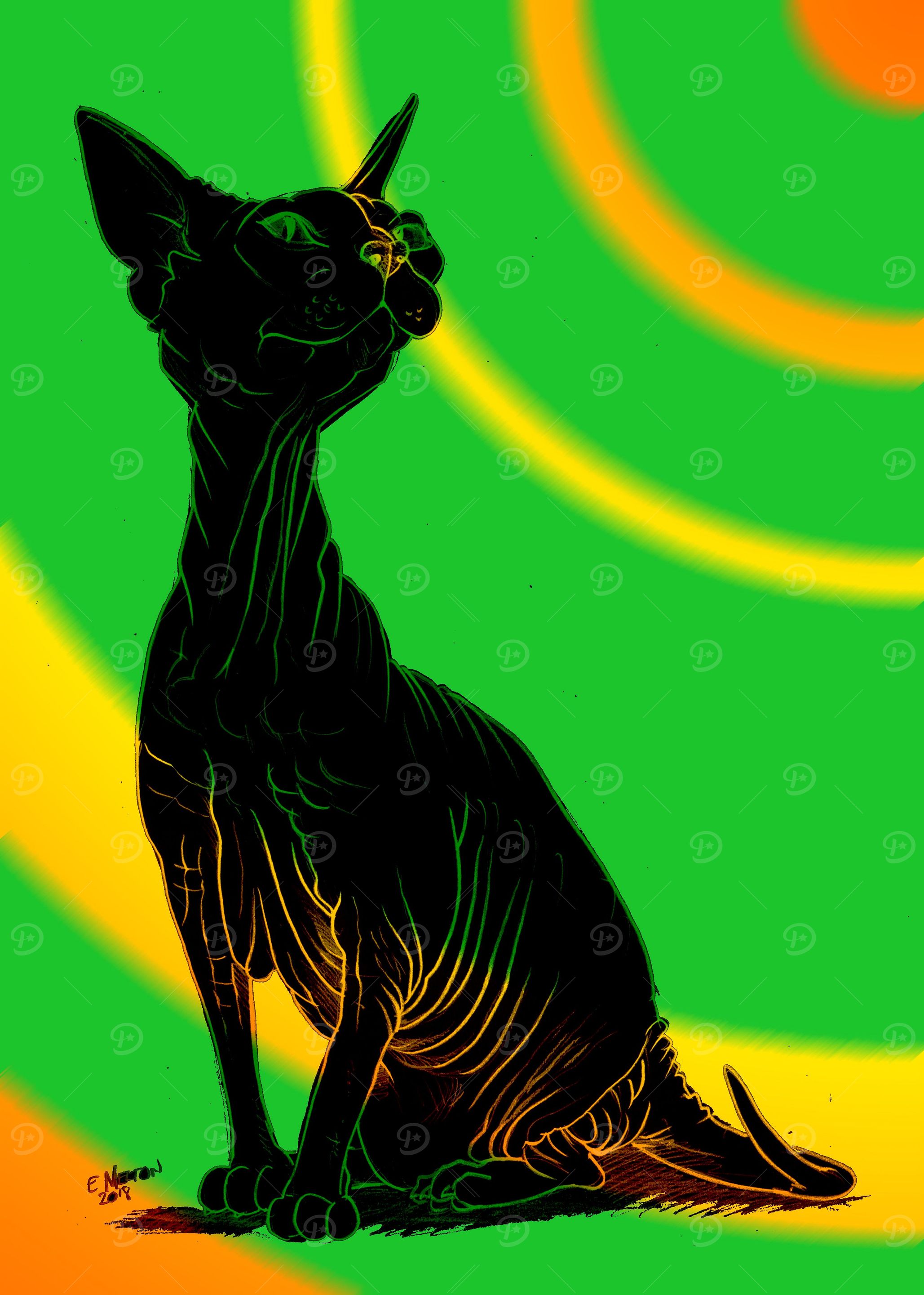 Hairless Cat