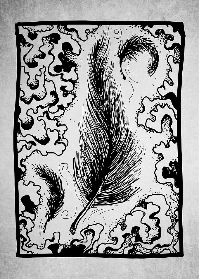 Feather Waves