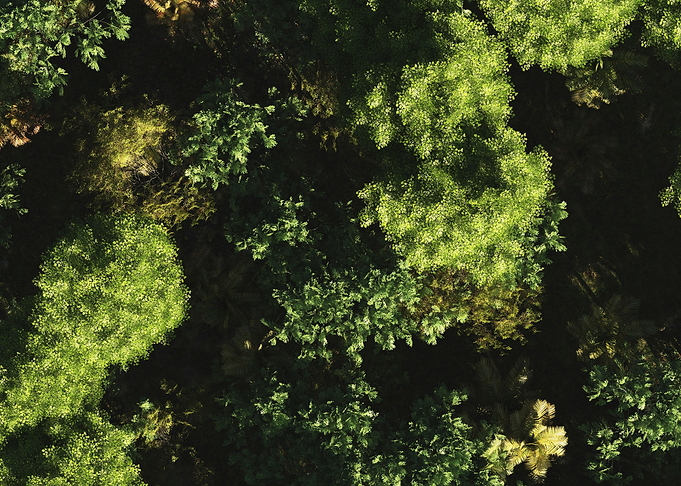Shades of green