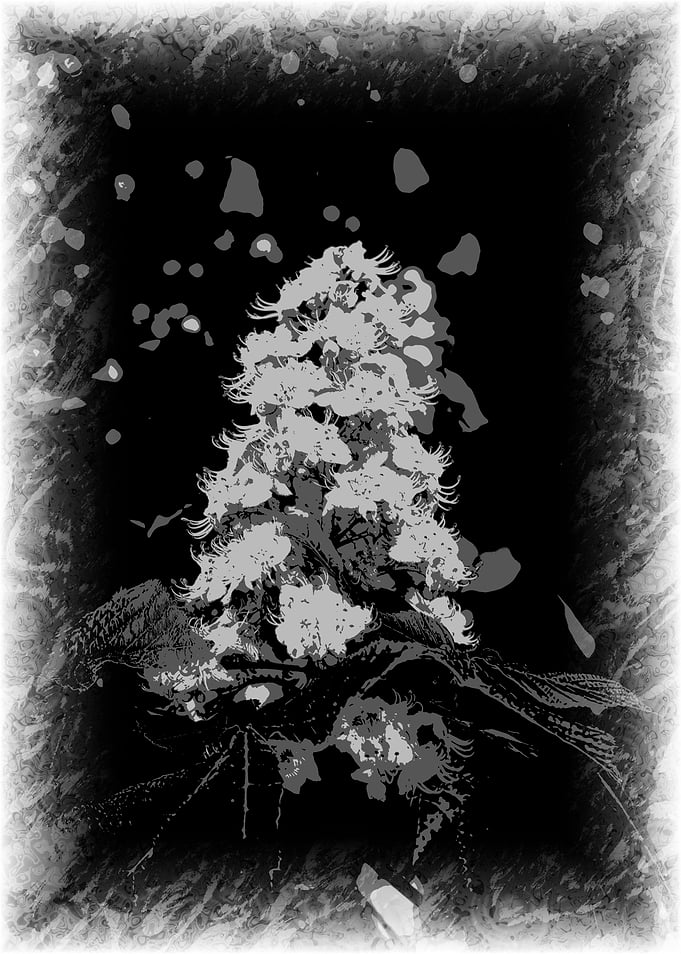 Chestnut flowers