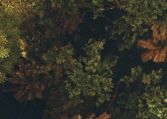 Brown and green