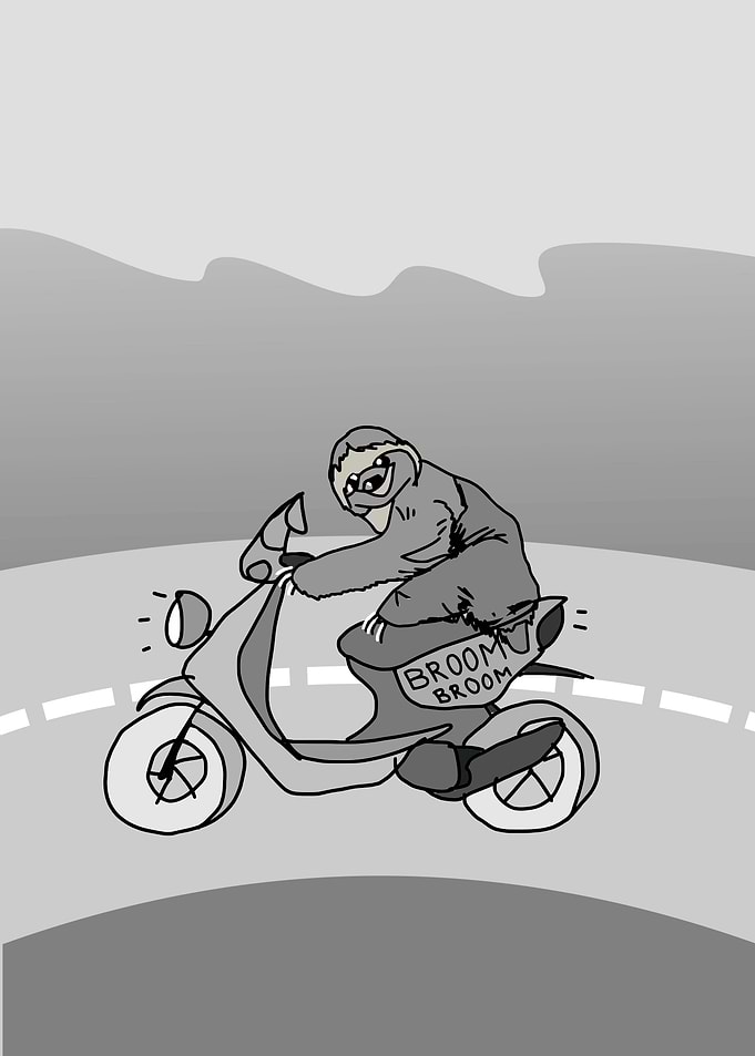 sloth riding a scooter