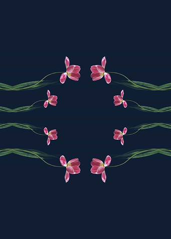 Tulips Circle