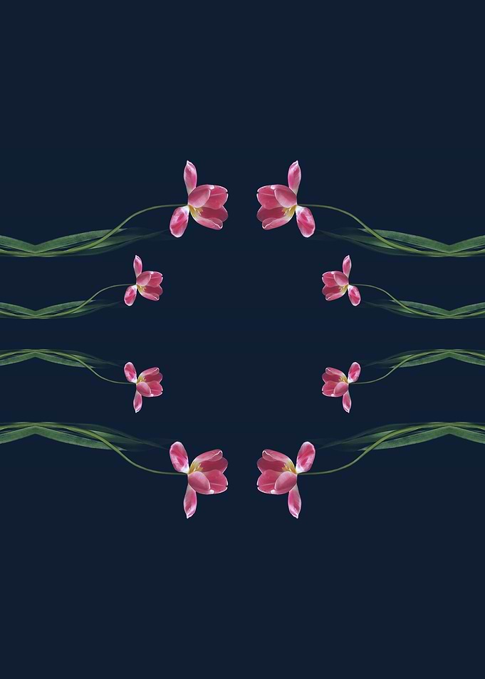 Tulips Circle