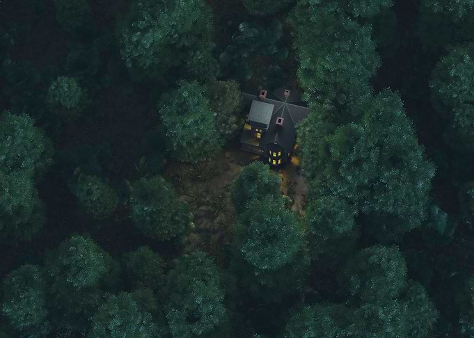 House in forest