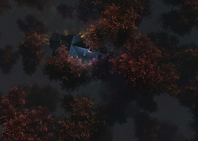 Mysterious forest