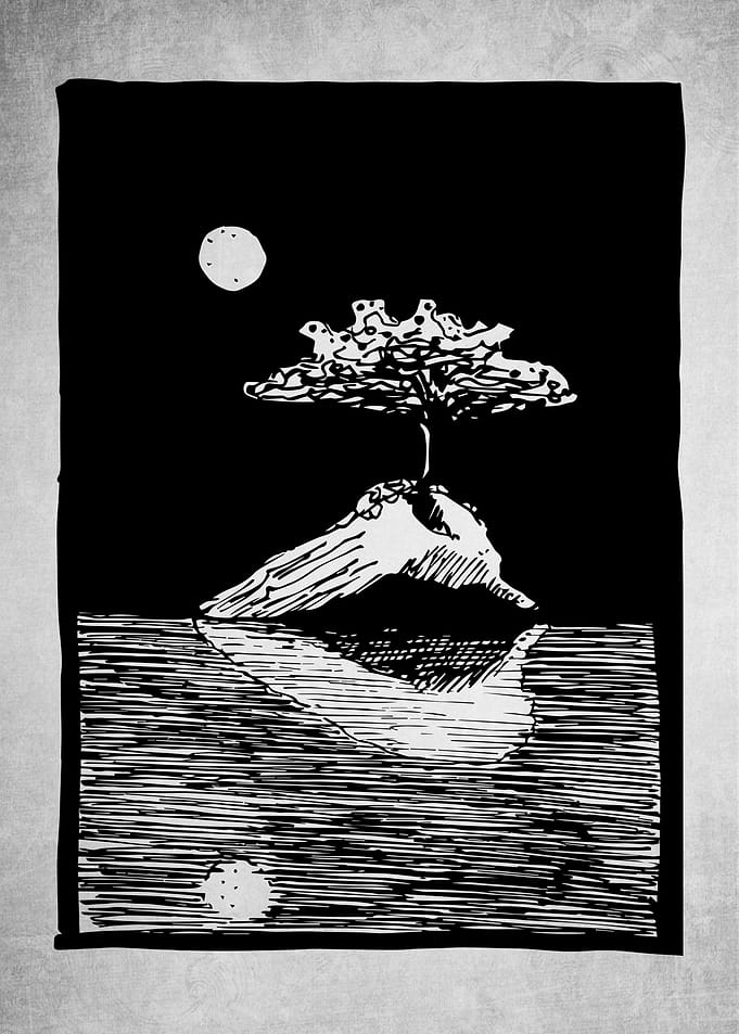 Night Revelations
