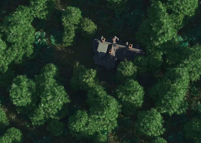 Roof in forest