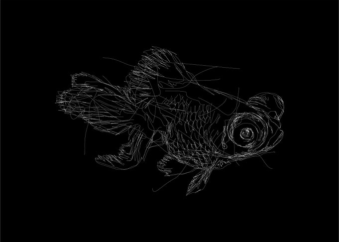 Goldfish Koky Scribble art