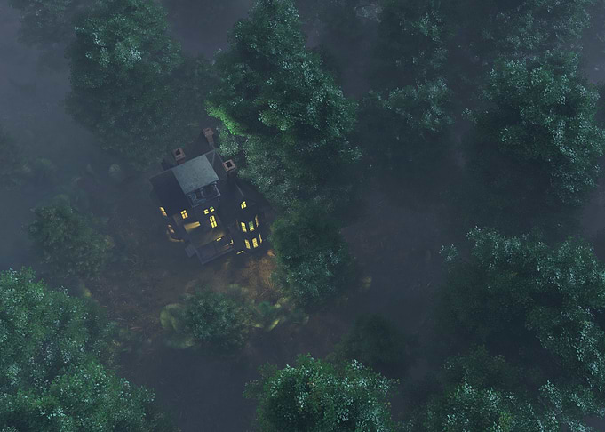 Deep in the forest