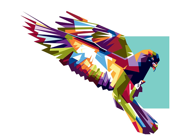 Colorfully Dove