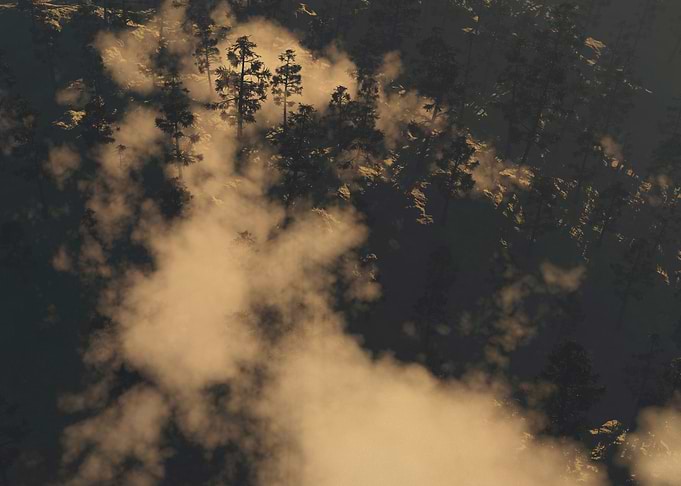 Clouds and pines