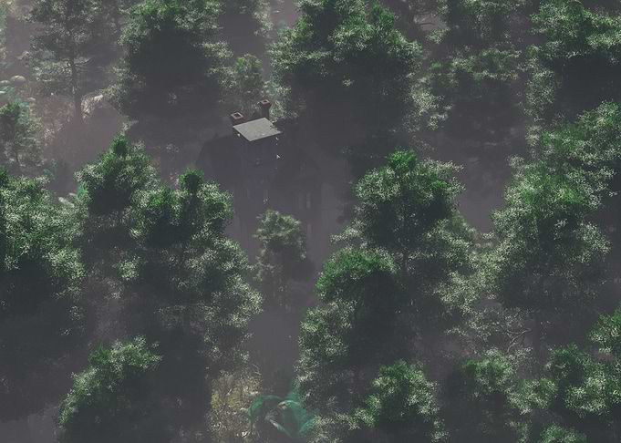 Misty forest
