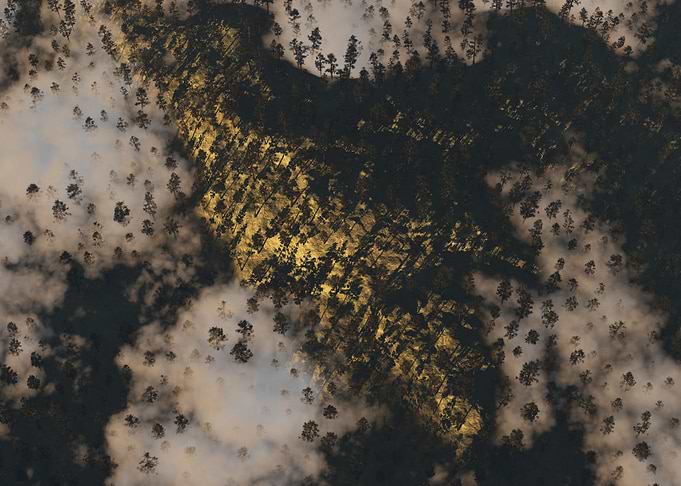 Clouds and pines