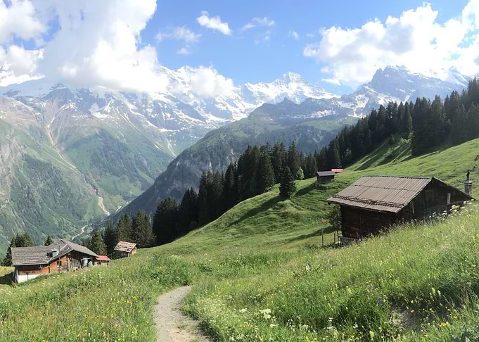 Peaceful Mountain View