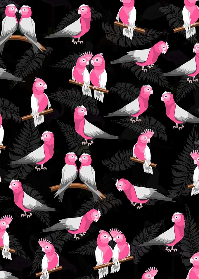 Galah pattern