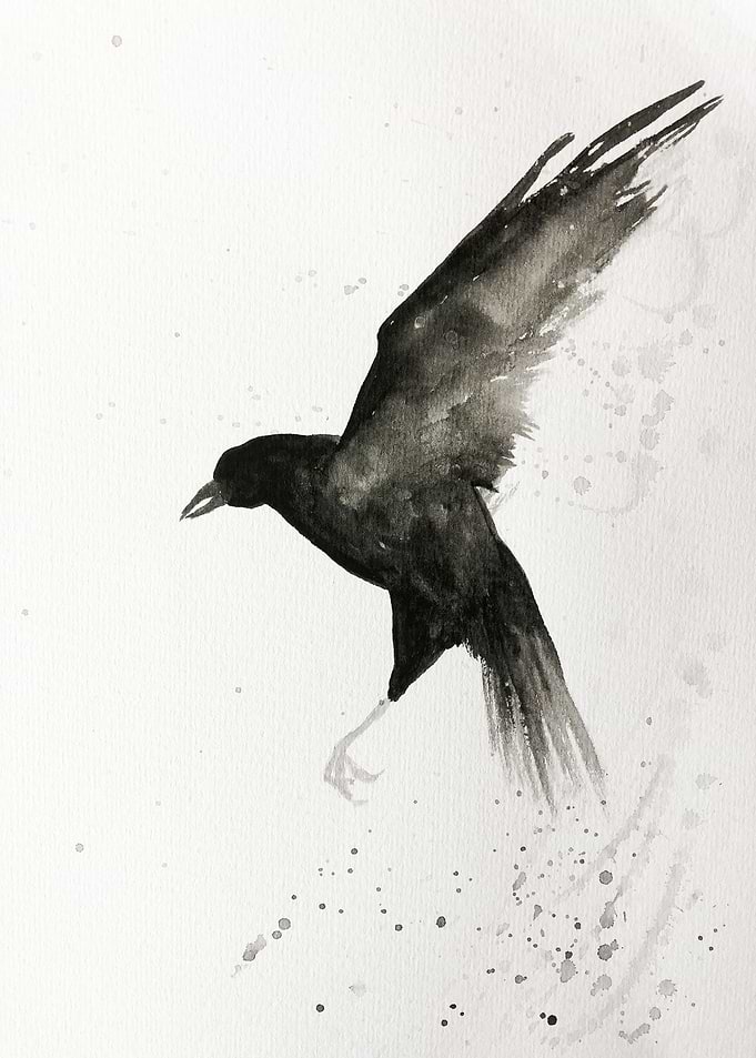 Raven