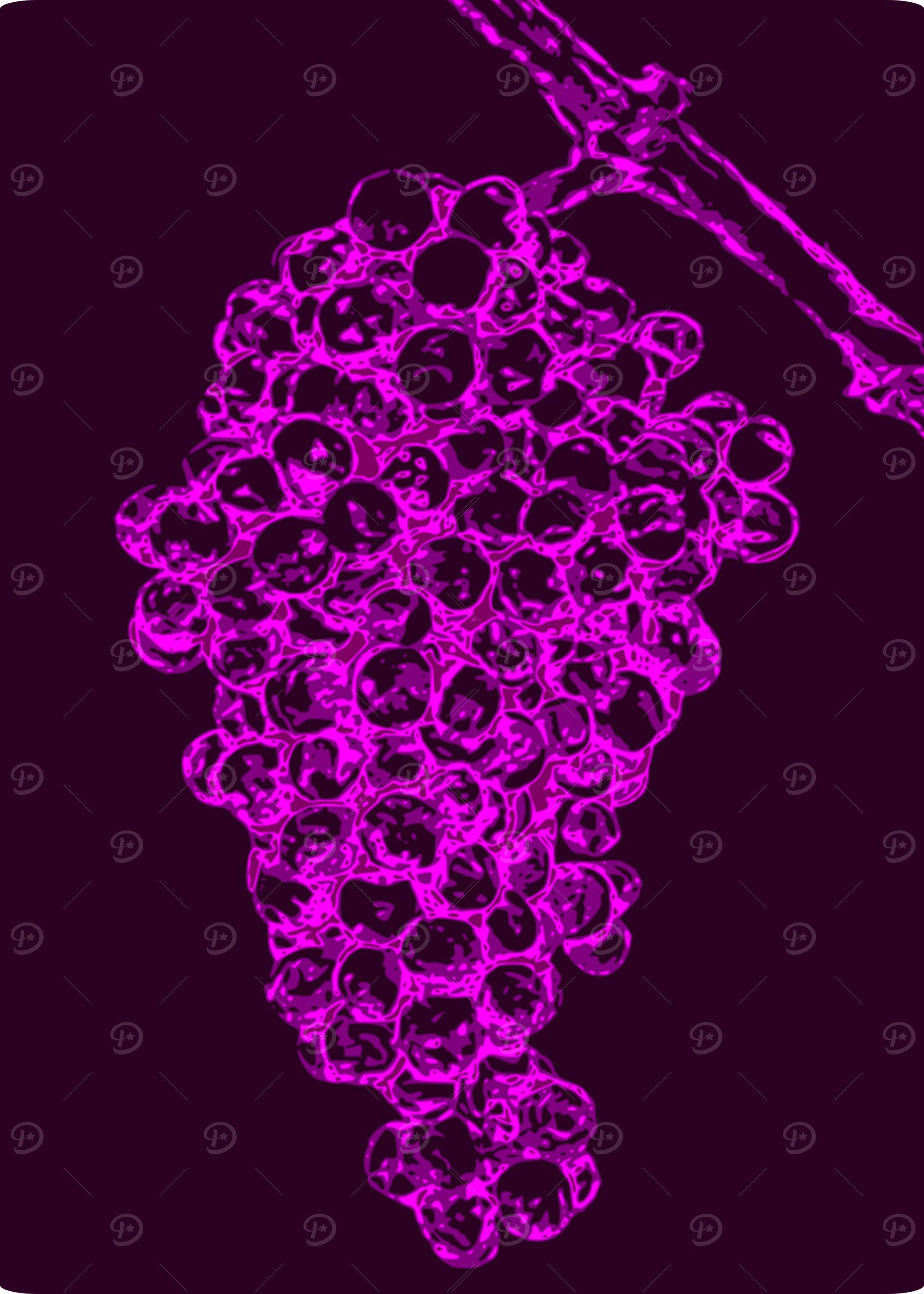 Grapes in Purple