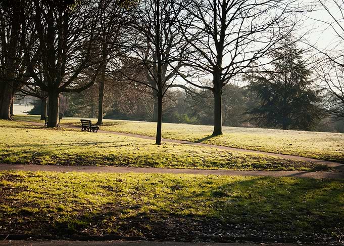 Royal Victoria Park