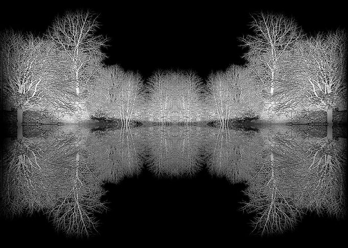 A Winters Night