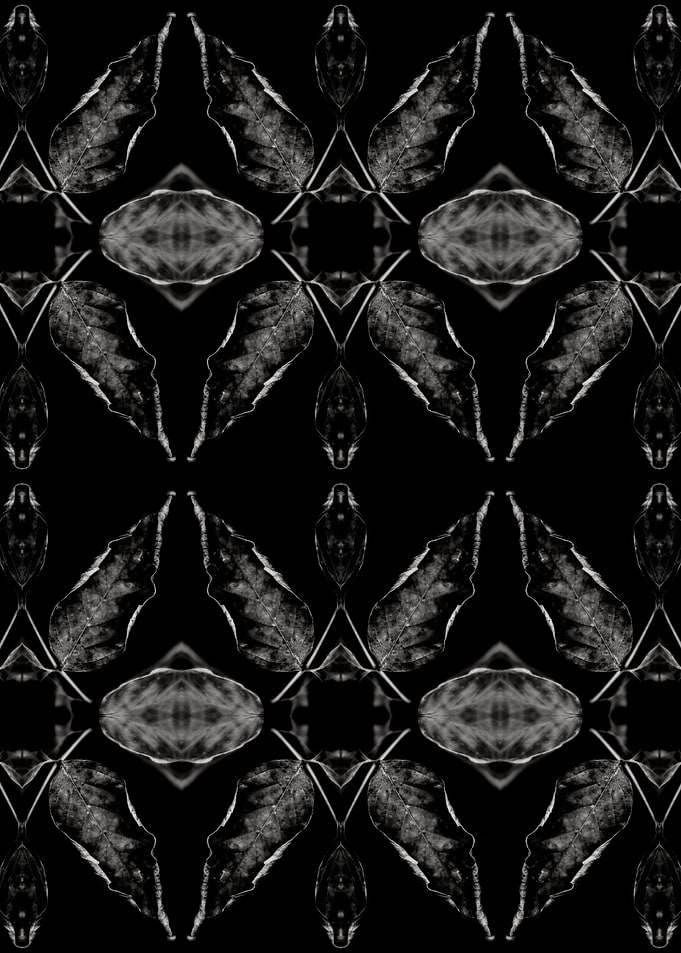 BW Abstraction No10
