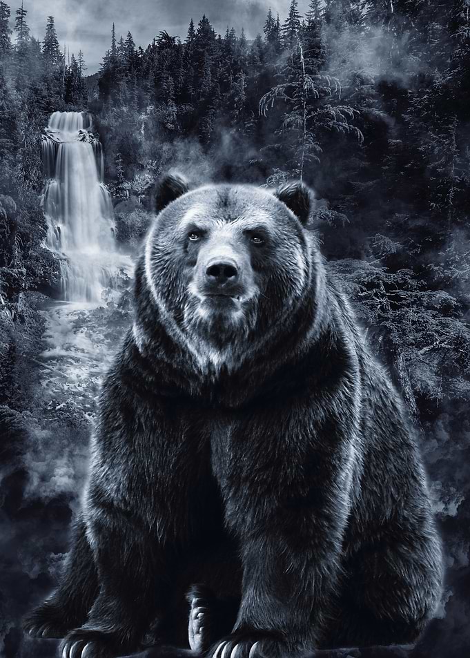 Bear 2