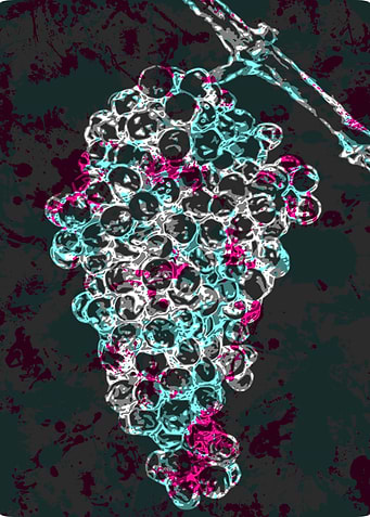 Grape Vine Abstract