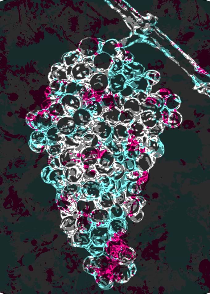 Grape Vine Abstract