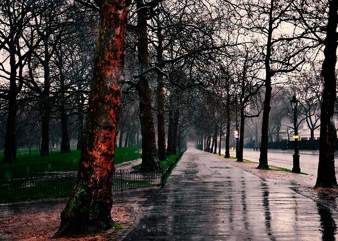 Rainy day