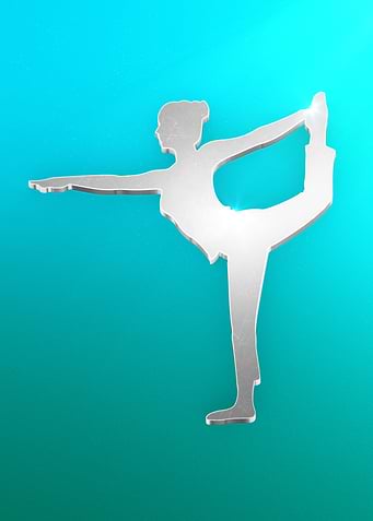 Wiifit trainer