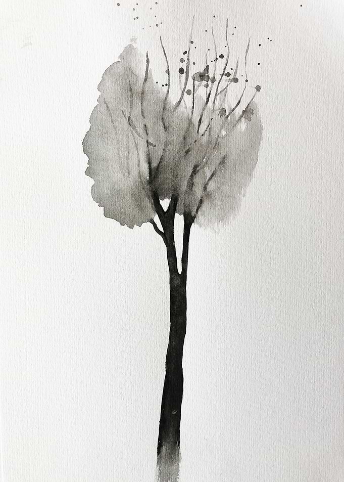 Dying Tree1