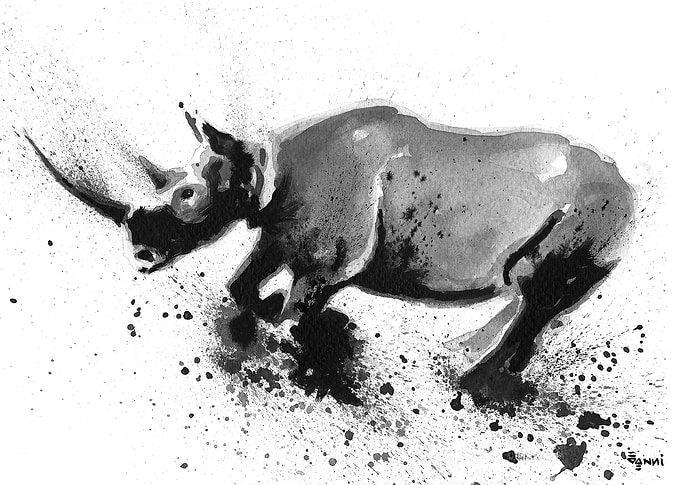 BW RHINO