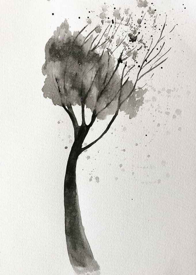 Dying Tree2