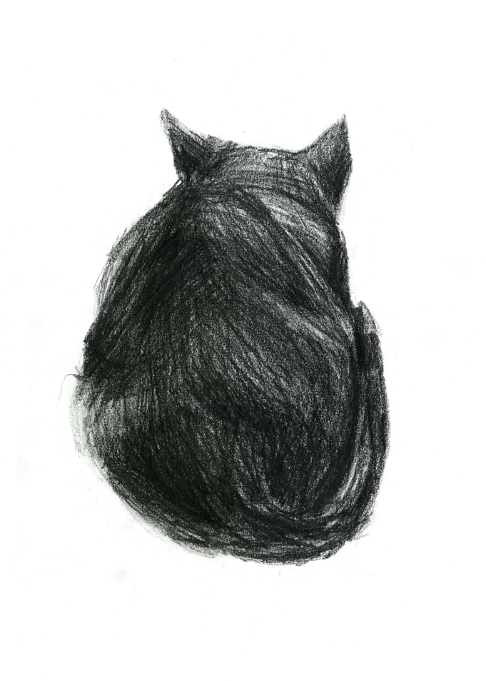 black 4