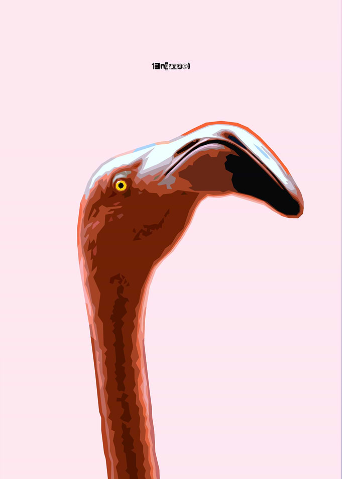 Flamingo