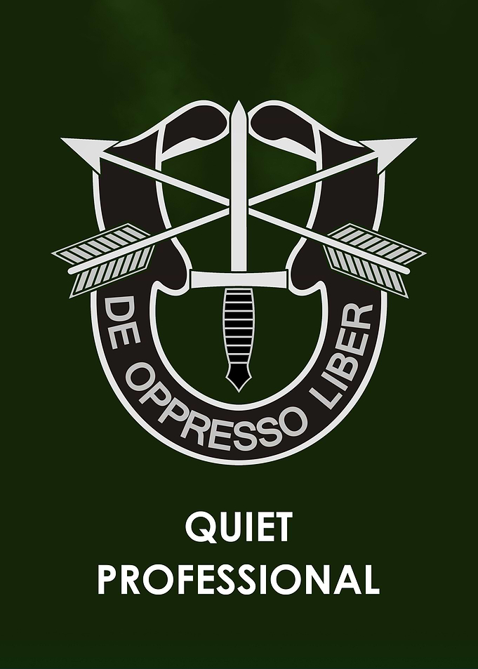 QUIET PROFESSIONAL