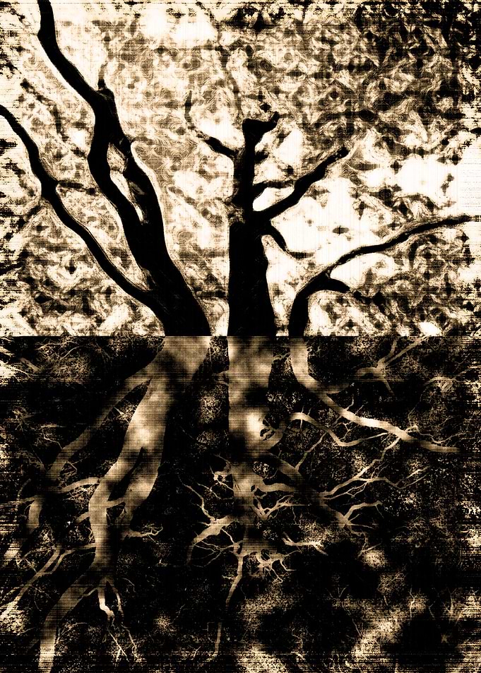 Roots