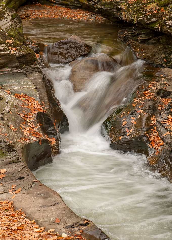 Autumn