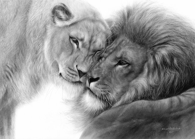 Endearment