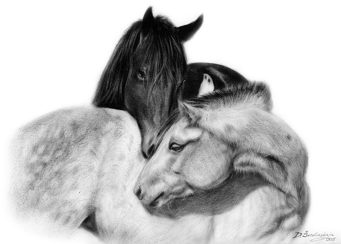 Gentleness