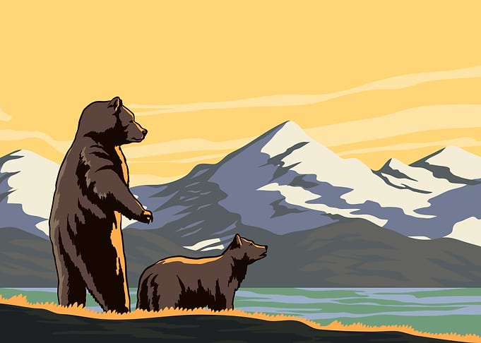Bears