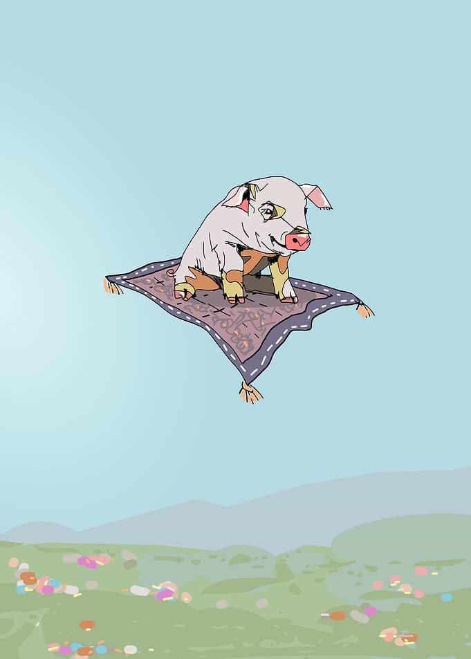 pigs can fly on a carpet